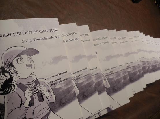 Twenty-six saddle-stitch books lined up on a table.