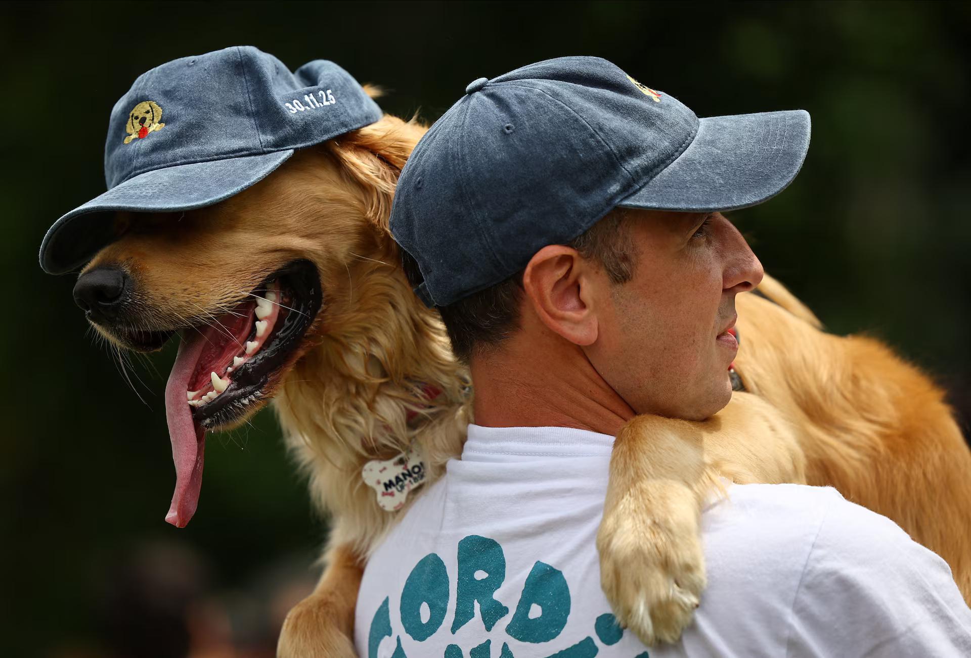 A man holds a Golden Retriever wearing a cap.