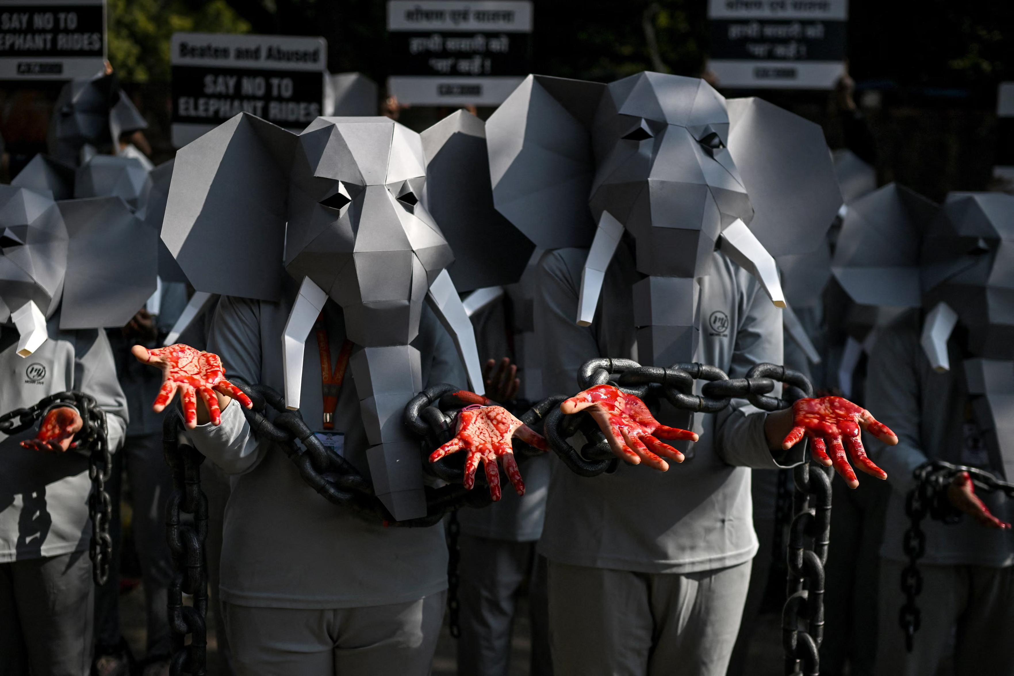 Supporters of People for Ethical Treatment of Animals in elephant costumes stage a protest against elephant rides and abuse of animals.