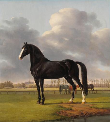 Dutch banker and art collector Van der Hoop owned racehorses and commissioned paintings of his champions
Adriaan van der Hoop's Trotter De Vlugge ('The Fast One') in the Meadow
Oil on canvas, 60 x 54 cm, by Anthony Oberman, 1828.
Rijksmuseum, Amsterdam