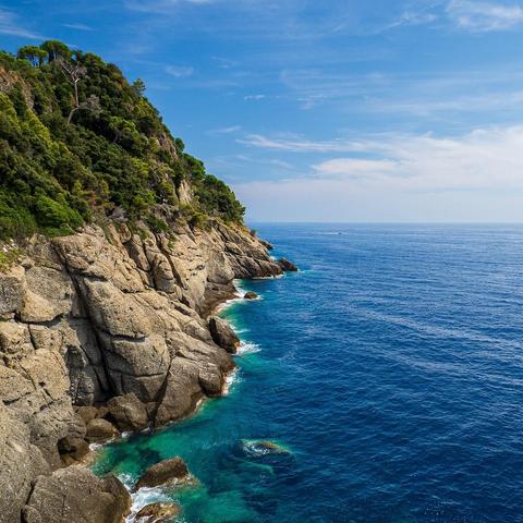 Rocky Ligurian cliff covered in green vegetation descending into deep blue sea under a clear sky.