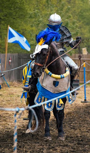 Medieval knight in shiny armor on horseback, adorned with blue and yellow plumes and caparison. Scottish flag visible, evoking a historical tone.