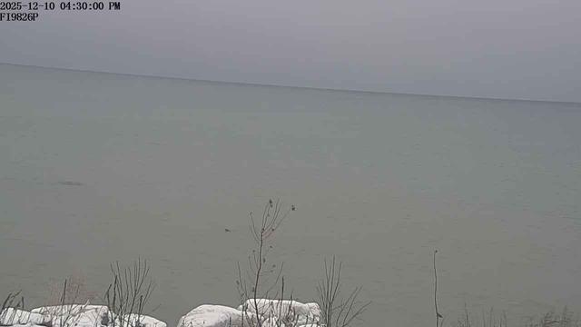 View looking west of the Lake Ontario shoreline frmo near Sandy Island Beach State Park. // Image captured at: 2025-12-10 19:30:03 UTC (about 1 min. prior to this post) // Current Temp in Sandy Creek: 34.10 F | 1.17 C // Precip: light snow // Wind: S at 16.061 mph | 25.84 kph // Humidity: 99%