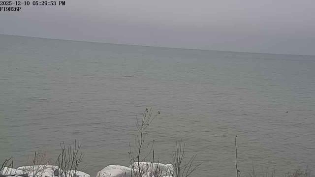 View looking west of the Lake Ontario shoreline frmo near Sandy Island Beach State Park. // Image captured at: 2025-12-10 20:30:03 UTC (about 1 min. prior to this post) // Current Temp in Sandy Creek: 35.09 F | 1.72 C // Precip: snow // Wind: S at 15.524 mph | 24.98 kph // Humidity: 99%