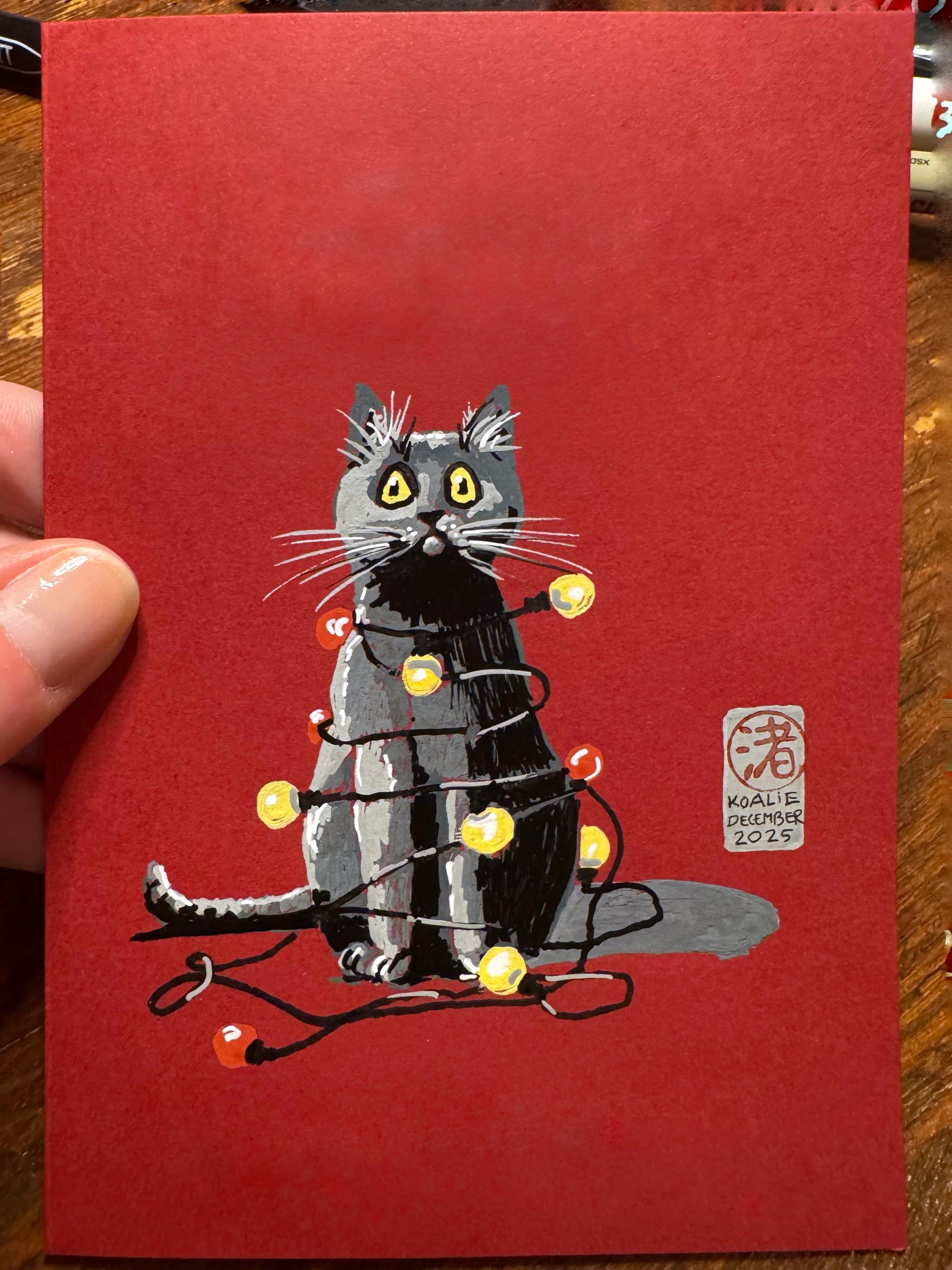A cartoonish illustration of a gray cat wrapped in colorful fairy lights against a red background. The cat has large, expressive eyes and a surprised expression. The signature in the lower right corner is a stamp of a Japanese character meaning ‘by the sea’ and includes the uppercase words ‘koalie December 2025’