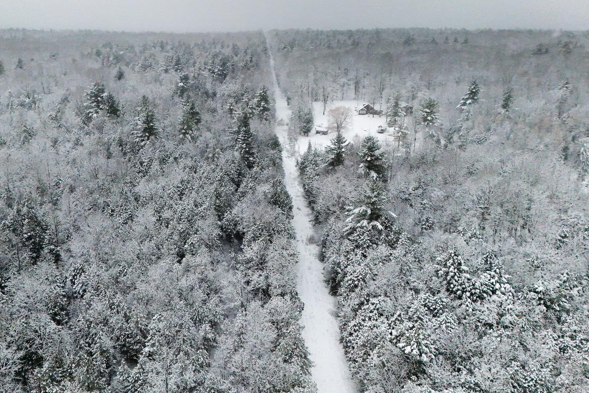 A drone view shows a cut in the trees marking the border between Canada and the U.S. in Champlain.