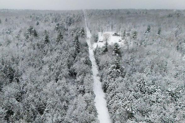 A drone view shows a cut in the trees marking the border between Canada and the U.S. in Champlain.
