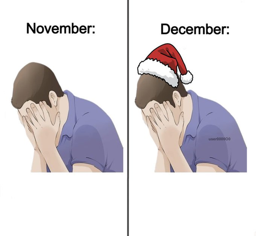 A split-panel meme comparing "November" and "December."

Left Panel: Under the text "November:", a cartoon man with brown hair and a purple shirt is shown with his face buried in his hands, appearing distraught, stressed, or crying.

Right Panel: Under the text "December:", the exact same image of the distraught man is used, except he is now wearing a festive red Santa hat on his head.
