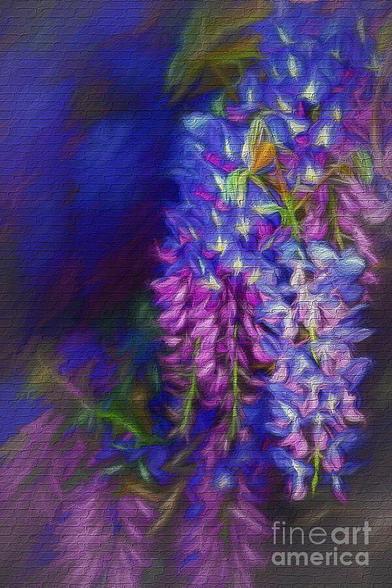 My photograph of rich blue purple Wisteria flowers digitally painted onto a brick background. This gives the effect of a graffiti painting on a brick wall. I loved the midnight blue colors, hence the name I chose of Midnight Oil.

THE FINE ART AMERICA LOGO WILL NOT APPEAR ON PURCHASED PRINTS OR PRODUCTS.

Wisteria (also spelled Wistaria or Wysteria) is a genus of flowering plants in the pea family, Fabaceae, that includes ten species of woody climbing vines native to the Eastern United States and to China, Korea, and Japan. Some species are popular ornamental plants, especially in China and Japan.
[from Wikipedia]