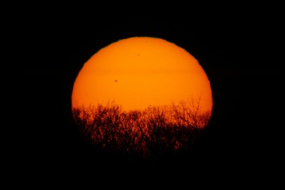 Photograph of a large yellow sun against a black sky with trees in silhouette at the bottom of the sun and sunspots on the sun.