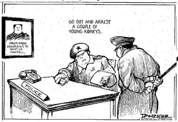 "Va donc arrêter quelques jeunes reins !"  – Dessin de Danziger.