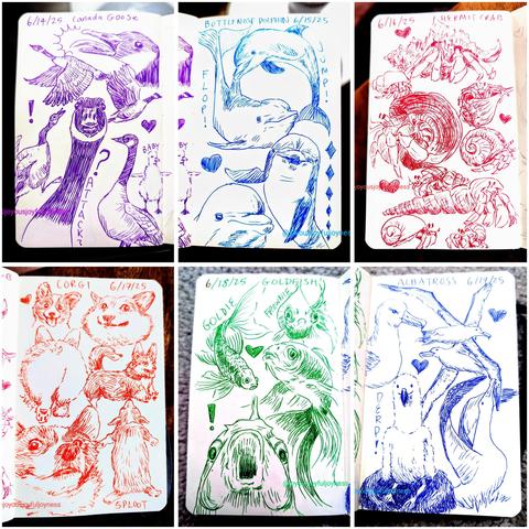 A compilation of 6 sketchbook pages. The top row has sketches of Canada geese in purple pen, bottlenose dolphins in blue pen, and hermit crabs in red pen. The bottom row has drawings of corgi in orange pen, goldfish in green pen, and albatross in blue pen.