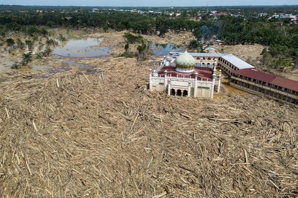 Reuters:
"Remains of uprooted trees surround the Darul Mukhlisin Islamic boarding school and mosque after flash floods in North Sumatra." 

I suspect that the above Reuters caption is misleading and that the trees are in fact not uprooted, but cut down and stripped by illegal loggers, as reported elsewhere.

The chicken came to roost.
