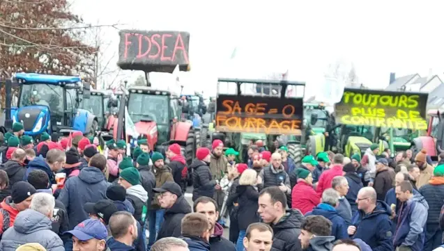 Calmes à Chateaubourg, les agriculteurs FNSEA-JA ont déversé du fumier à Rennes, devant la préfecture et devant le siège de Rennes métropole.
