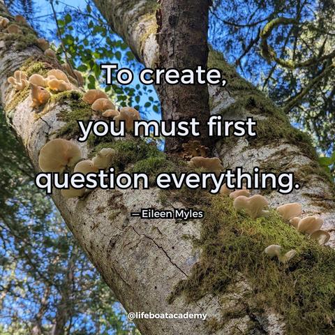 A social post from @lifeboatacademy which says: “To create, you must first question everything.” — Eileen Myles
