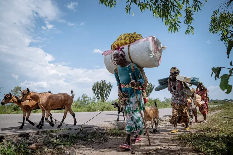 A displaced family make their way back to their village with their children and livestock.