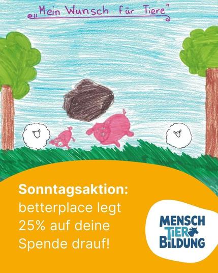 Kinderbild von zwei Schweinen und zwei Schafen auf einer Wiese zwischen Bäumen. Die Überschrift ist "Mein Wunsch für Tiere" Darunter steht in einem eingefügten Textfeld: Sonntagsaktion, Betterplace legt 25 Prozent auf deine Spende drauf Außerdem das Logo von Mensch Tier Bildung