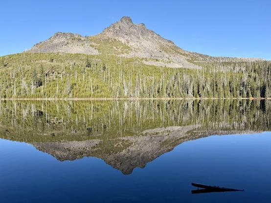 Duffy Butte mirrors almost perfectly into Duffy Lake. A prominent gray rocky peak rises out of evergreens with white dead tree trucks sticking out sporadically. A clear light blue sky is above. A stick pokes out of the still water in the bottom right. Photo taken December 13, 2025, in the Jefferson Wilderness in Central Oregon, U.S.