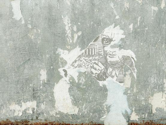 50€, Andrea Camilleri