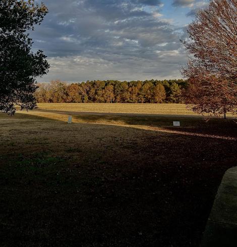 A landscape scene featuring a grassy area with scattered leaves, bordered by trees displaying autumn colors. The sky has a mix of clouds, and in the foreground, there is a shadow cast on the ground, with a couple of small objects visible.