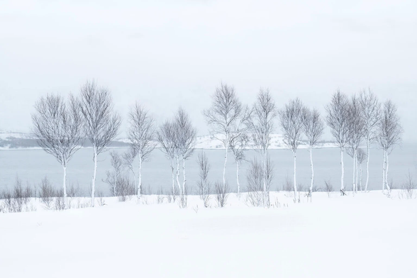 ‘Winter Meditations’ by J. Fritz Rumpf.
2025 International Landscape Photographer of the Year.