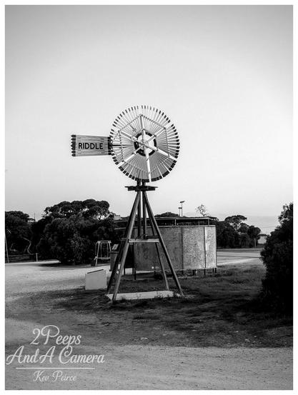 A black and white photograph of a large, multi bladed windmill standing on a wooden tripod base in a dusty, open area.
Trees and low scrub frame the background, and there is a water tank or shed visible to the right.
