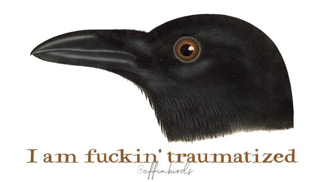 A painting of a bird next to the words "I am fuckin' traumatized"