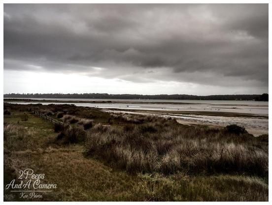 Wide shot of a coastal area or estuary under a heavy, dark gray sky. Foreground features tall, dry grasses and shrubs. A wide expanse of shallow water or mudflats leads to a distant treeline on the horizon.