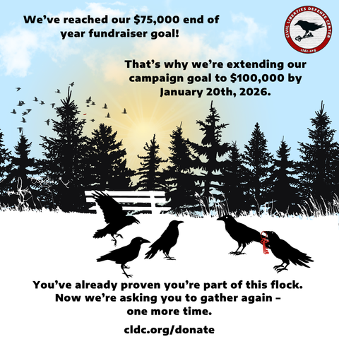 Graphic showing silhouettes of ravens in flight and on the ground against a forest treeline at dusk with cloudy sky. Text reads: 'We've reached our $75,000 end of year fundraiser goal!' followed by 'That's why we're extending our campaign goal to $100,000 by January 20th, 2026.' Below the ravens: 'You've already proven you're part of this flock. Now we're asking you to gather again – one more time.' CLDC logo (raven with key in circular red border) appears in top right corner. Bottom text: 'cldc.org/donate'"