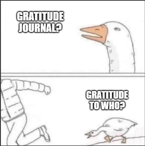 Cranky goose saying "Gratitude journal?" and then chasing the guy saying "Gratitude to who?"