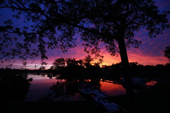 Sunrise photo of a yellow and peach sunrise in a violet sky over a lake. The scene is framed by a walnut tree's branches above and the near shore of the lake on the bottom.