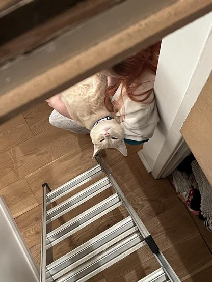 A photo taken from inside our loft looking down through the hatch. Turnip - a strawberry blond ginger doofus of a cat - is being cuddled like a baby whilst he stares with a pleased face back up into the loft