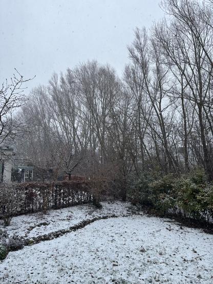 Blick in den verschneiten Garten mit nackten, verschneiten Bäumen und grauem Himmel im Hintergrund. Ein paar Schneeflocken sind auch zu sehen.