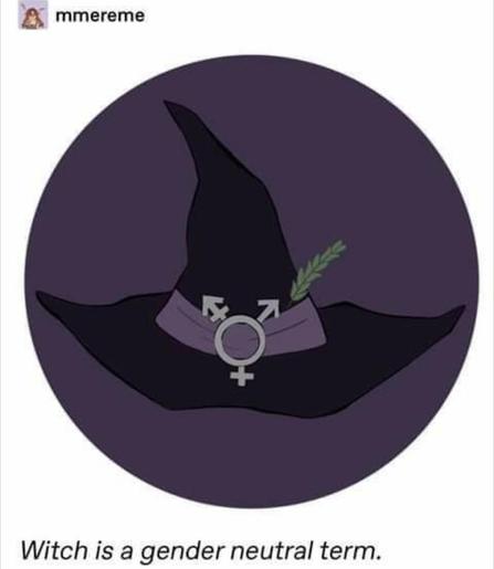 Black witches hat with purple band and a trans symbol on it. It has a herb sticking out of the band, and the hat is against a purple and white background. Text reads "witch is a gender neutral term."