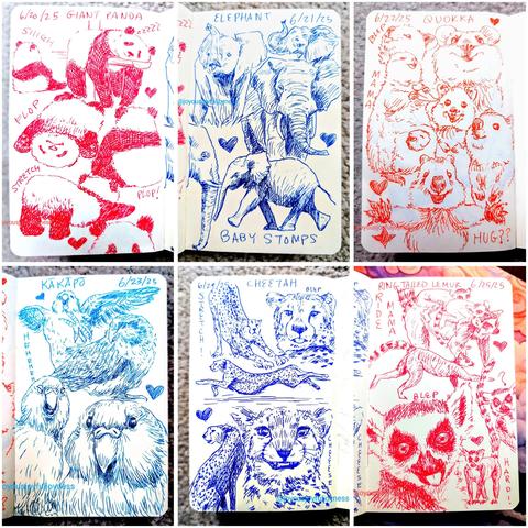Compilation of 6 Detox Doodle sketches. The top row consist of sketches of Giant Pandas, Elephants and Quokkas. The bottom row consists of drawings of Kakapos, Cheetahs, and Ringtailed Lemurs.