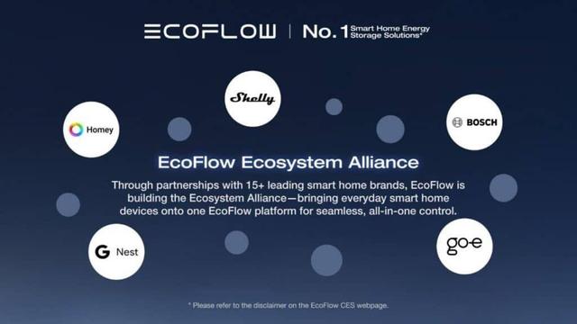 Homey and EchoFlow to Partner and Save You Money