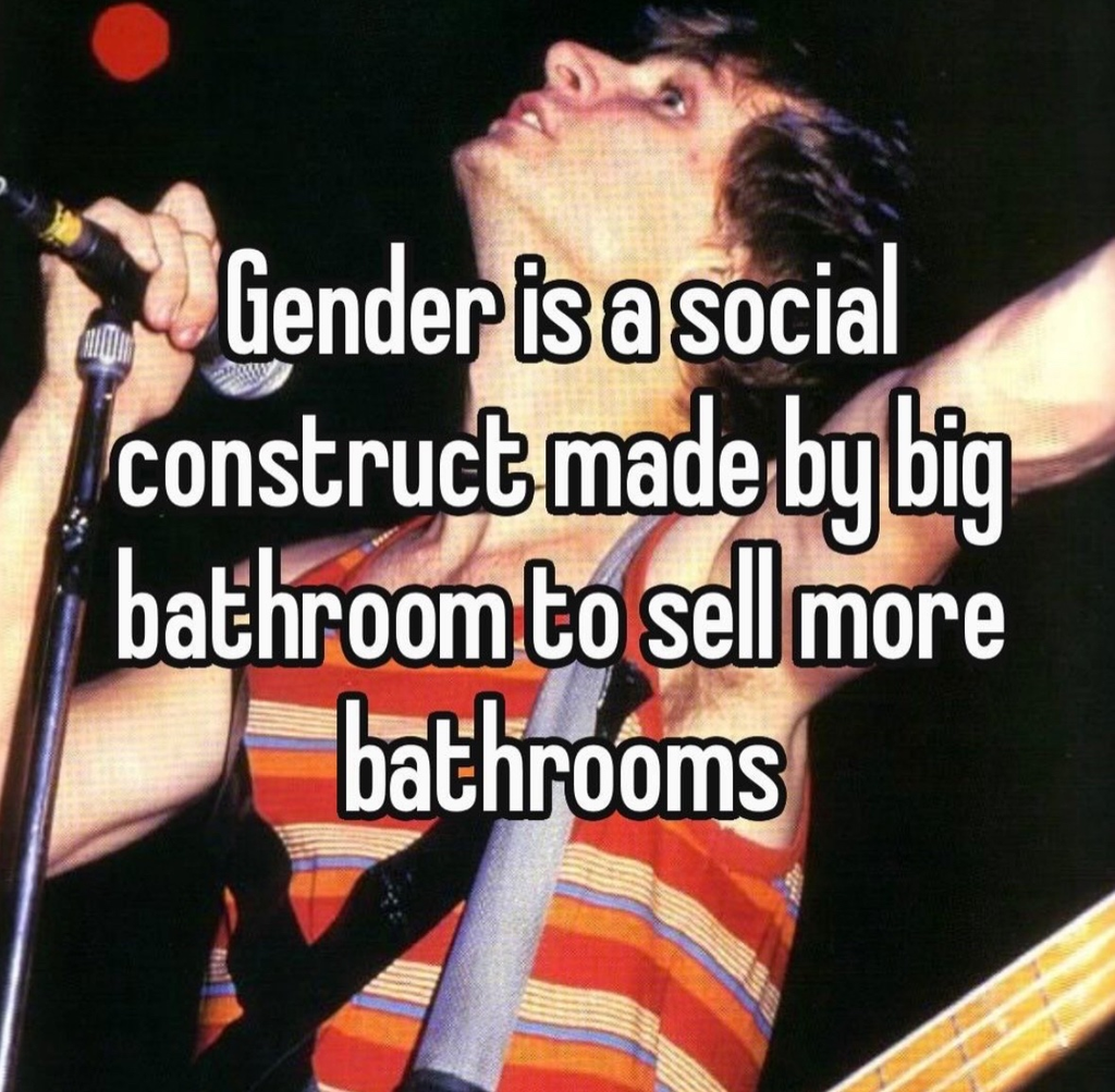 A meme with text overlaid on a photo of a musician performing on stage. The text reads, "Gender is a social construct made by big bathroom to sell more bathrooms." The person in the background is singing into a microphone and wearing a red and orange striped tank top.