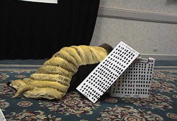 A photo of a larvae costume. It basically looks like a big worm costume with a cardboard skyscraper.