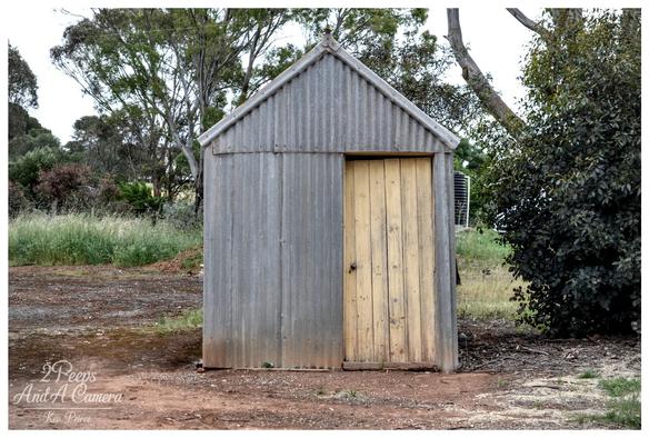 A small, simple, pitched roof shed in a rural setting, constructed from weathered, galvanized corrugated iron.

The single door is made of vertical light yellow wooden planks. The ground is dry earth and patchy grass, with eucalyptus trees and green bushes in the background.