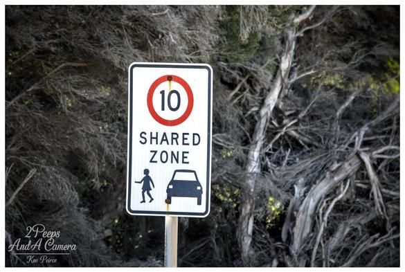A vertical road sign stands against a background of dense, tangled coastal scrub. The sign features a red circle with '10' inside, the words 'SHARED ZONE', and silhouettes of a person walking and a car.