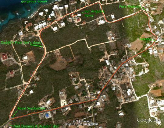A map showing my daily Seawalks walk while on vacation in Anguilla, with landmarks along the way labeled