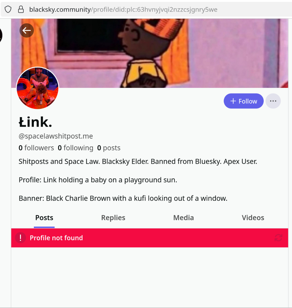 Link Preview Image