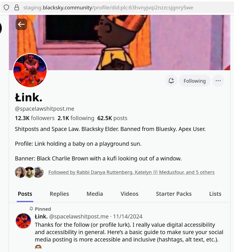 Link Preview Image