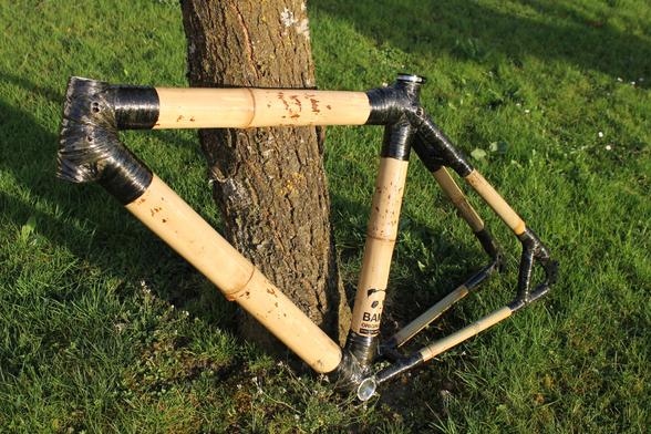 Ein frisch gebauter Fahrradrahmen aus Bambus lehnt an einem Baum. Die Verbindungsmuffen sind noch schwarz. Über dem Tretlager ist noch der Aufkleber von Bam Original zu sehen