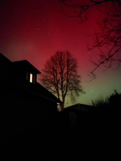 The northern lights over my house and front yard tree.
