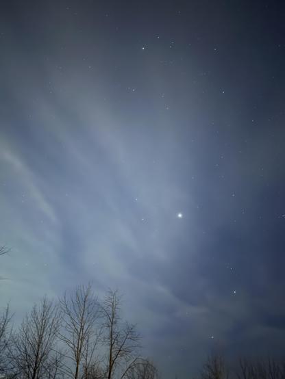 Starry sky, clouds, treetops