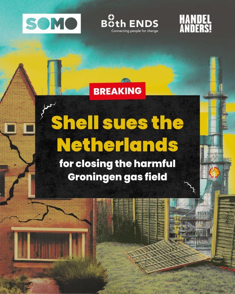Shell sues the NL