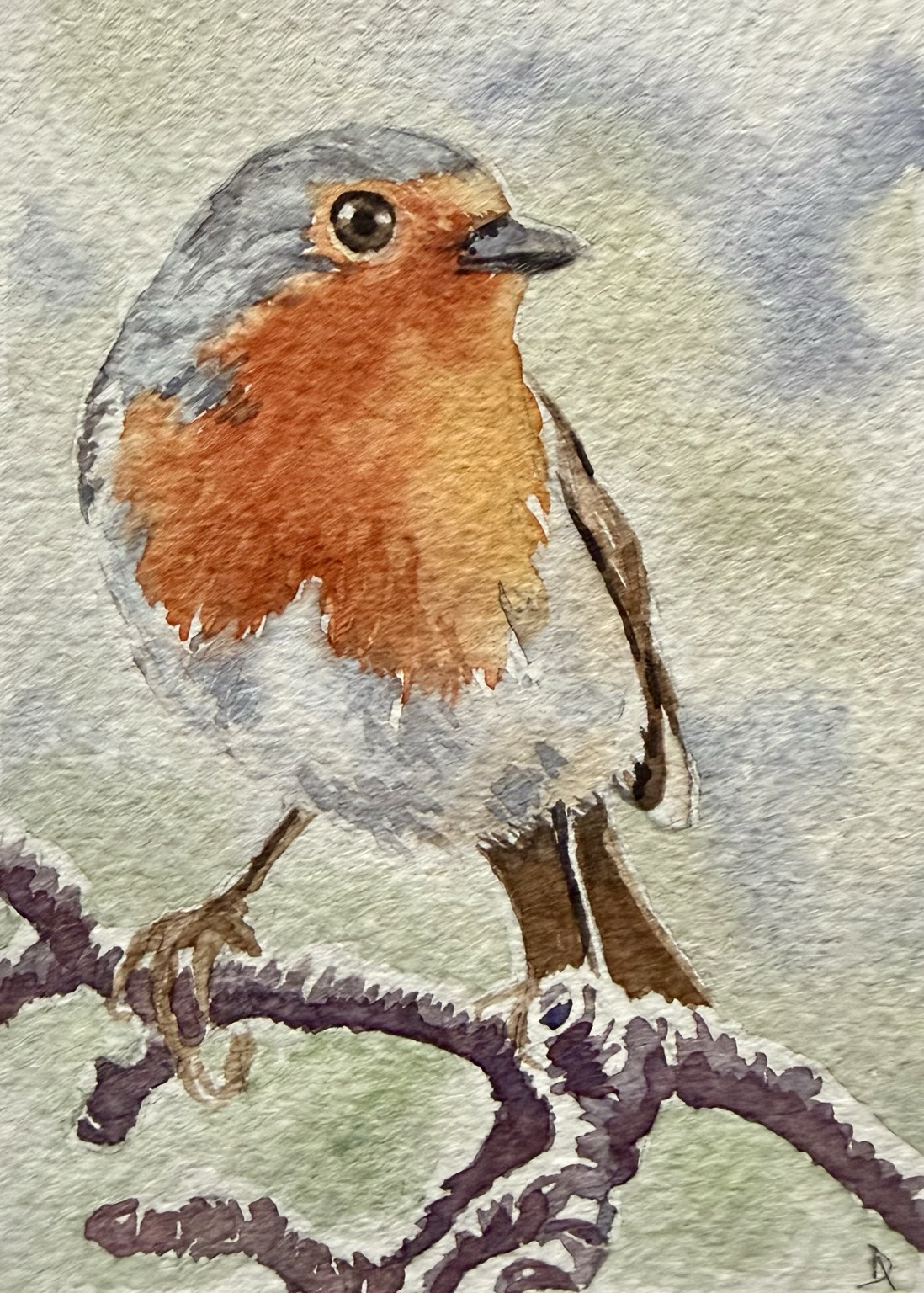 A painting of a Robin