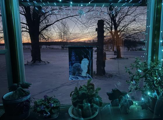 Sunrise from my plant window. My cyclamen and gerbera both have blooms. The window has fairy lights framing it and a sheepdog gazing at the stars flag in the middle. The scene outside is snow covered, with bare maples standing tall. Across the dirt road pale pink and orange attempts to warm the horizon.