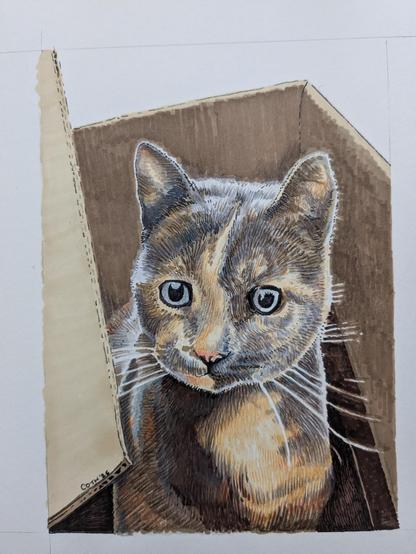 A cat in a box done by an artist who has been off work due to an injury.